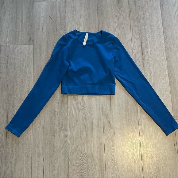 Babaton Tops - Aritzia The Group By Babaton Blue Long Sleeved Ribbed Cropped Top